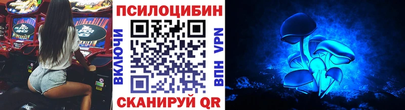 kraken как зайти Похвистнево Псилоцибиновые грибы ЛСД сайты даркнета Telegram даркнет сайт
